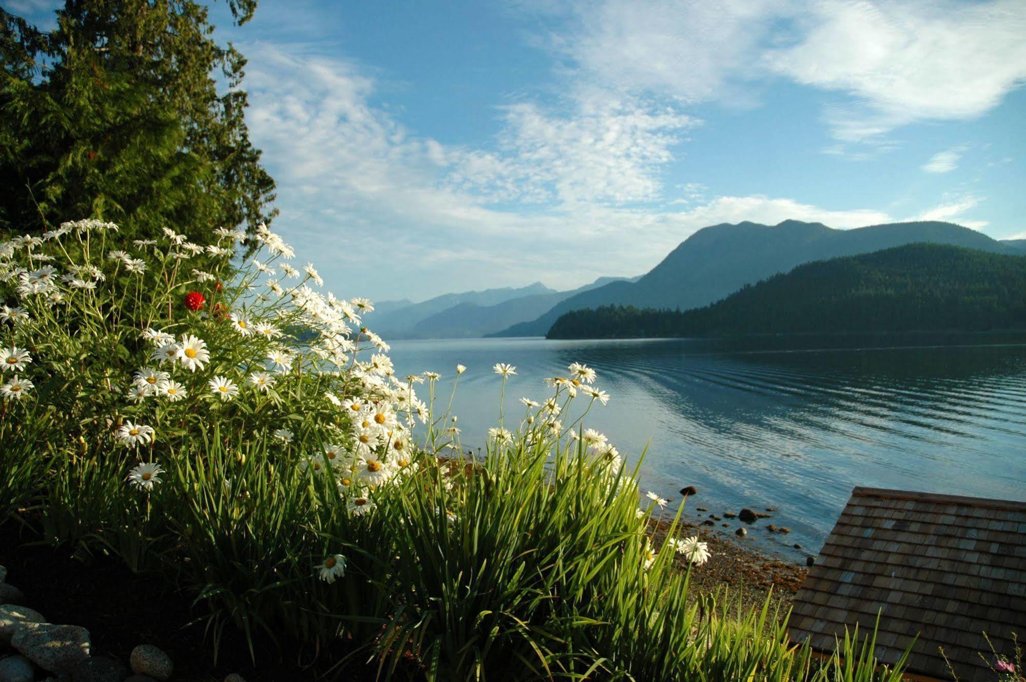 At The Shore Bed And Breakfast Sechelt Zewnętrze zdjęcie